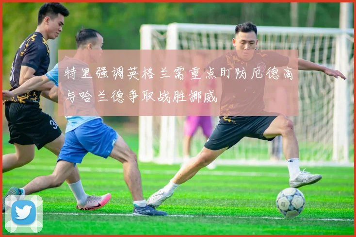 特里强调英格兰需重点盯防厄德高与哈兰德争取战胜挪威
